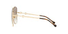 Gucci Sunglasses Horse Bit Gold Frame GG0879S-003